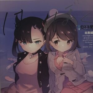 Pokemon Fanbook B5/92P Gloria Marnie Rare great condition Doujinshi US SELLER